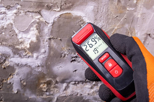 Best Localized Mold Remediation (e.g., coastal areas, humid climates) in Rancho Santa Fe, CA